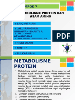 Metabolisme Protein Dan Asam Amino Fix Fix