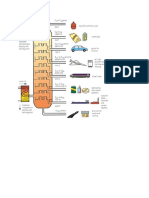 Fractional Distillation