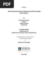 Project Report Final