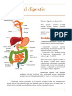 Sistemul Digestiv - Schema Biologie Vegetala Si Animala Bac