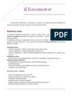 Sistemul Locomotor - Sinteza Biologie Vegetala Si Animala