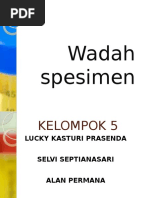 Wadah Spesimen