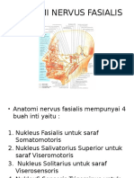 Bell's Palsy