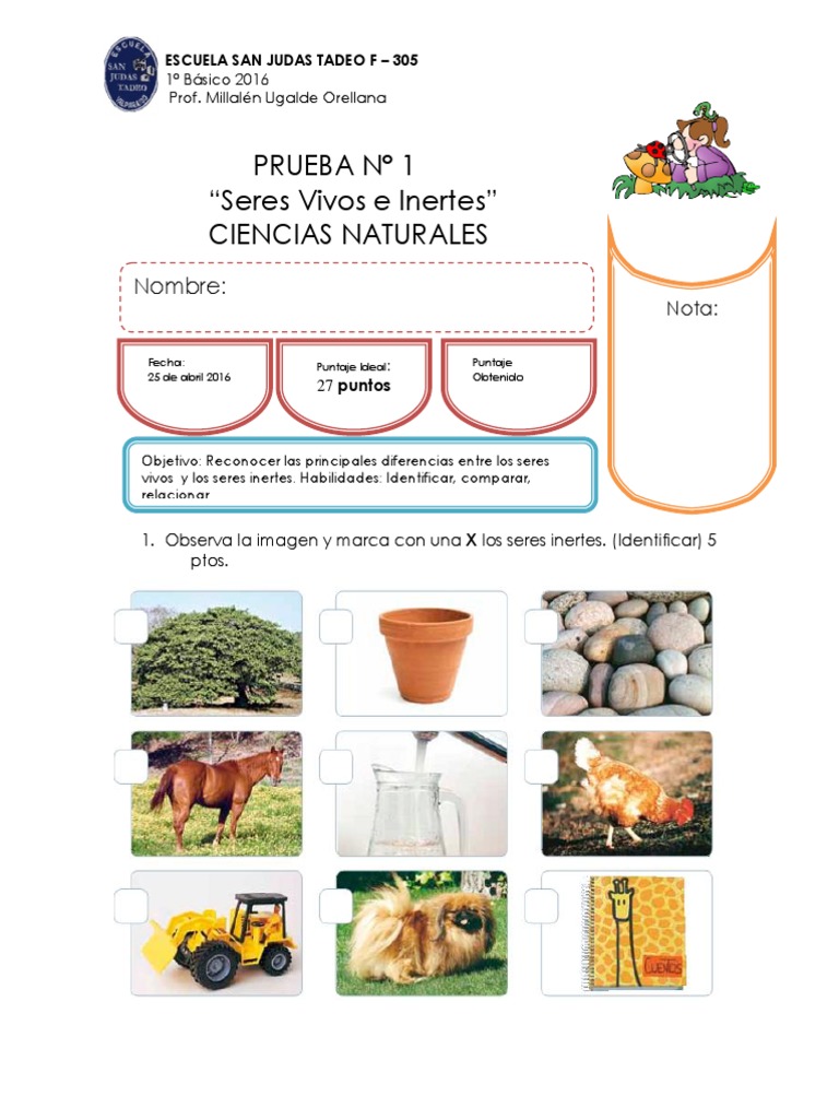 Prueba 1. Ciencias Naturales. Seres Vivos e Inertes | PDF