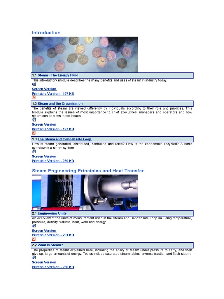 Industrial Steam Systems Guide | PDF | Steam | Heat Transfer