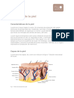 Anatomia_y_tipos_de_piel.pdf