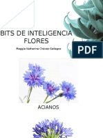 Bits de Inteligencia - Flores