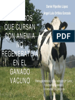 ANEMIA_NO_REGENERATIVA_EN_VACUNO (editado).pdf