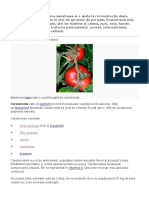 Vitamina E Mentine Pielea Sanatoasa Si o Ajuta La Reconstructie Dupa Traumatisme