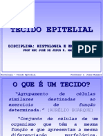 Tecido Epitelial PDF