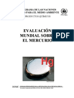 Evaluacion mundial del Hg (ONU).pdf