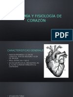 Anatomía y fisiología del corazón