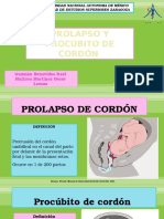 Prolapso y Procúbito de Cordón