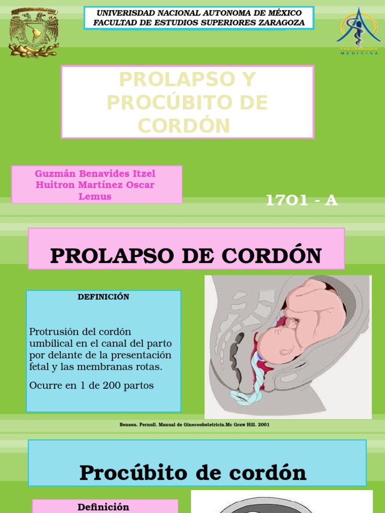 Prolapso y Procúbito de Cordón PDF Parto Reproducción humana