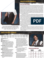 Shadowrun 5E Seattle Sprawl Digital Box Character Cards