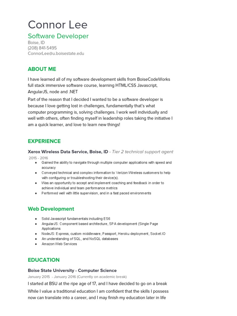 Connor Lee: Software Developer Profile | PDF
