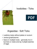 Ixodoidea - Ticks PDF