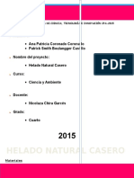 Helado Casero Informe