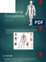 El Sistema Circulatorio