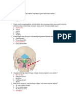 Soal Quiz PAT Anatomi