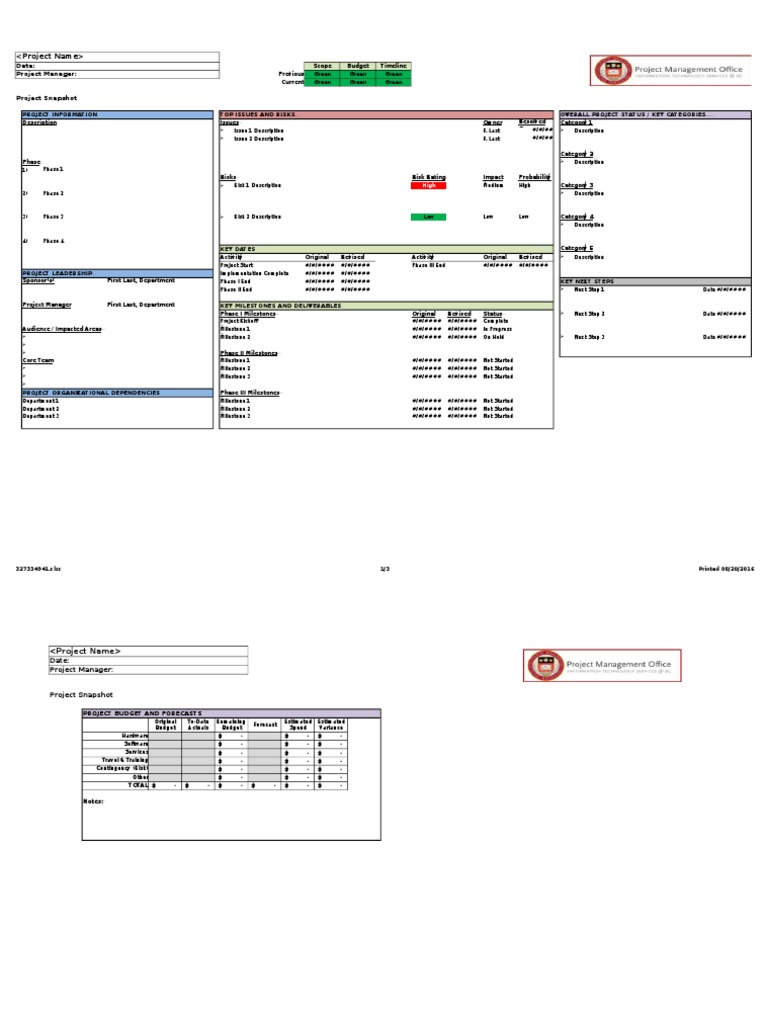 Project Status and Budget Overview | PDF