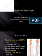 Kelainan Saraf Tepi 