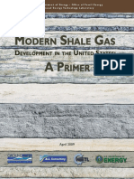 US Shale Gas Industry Primer - US Department of Energy (2009).pdf