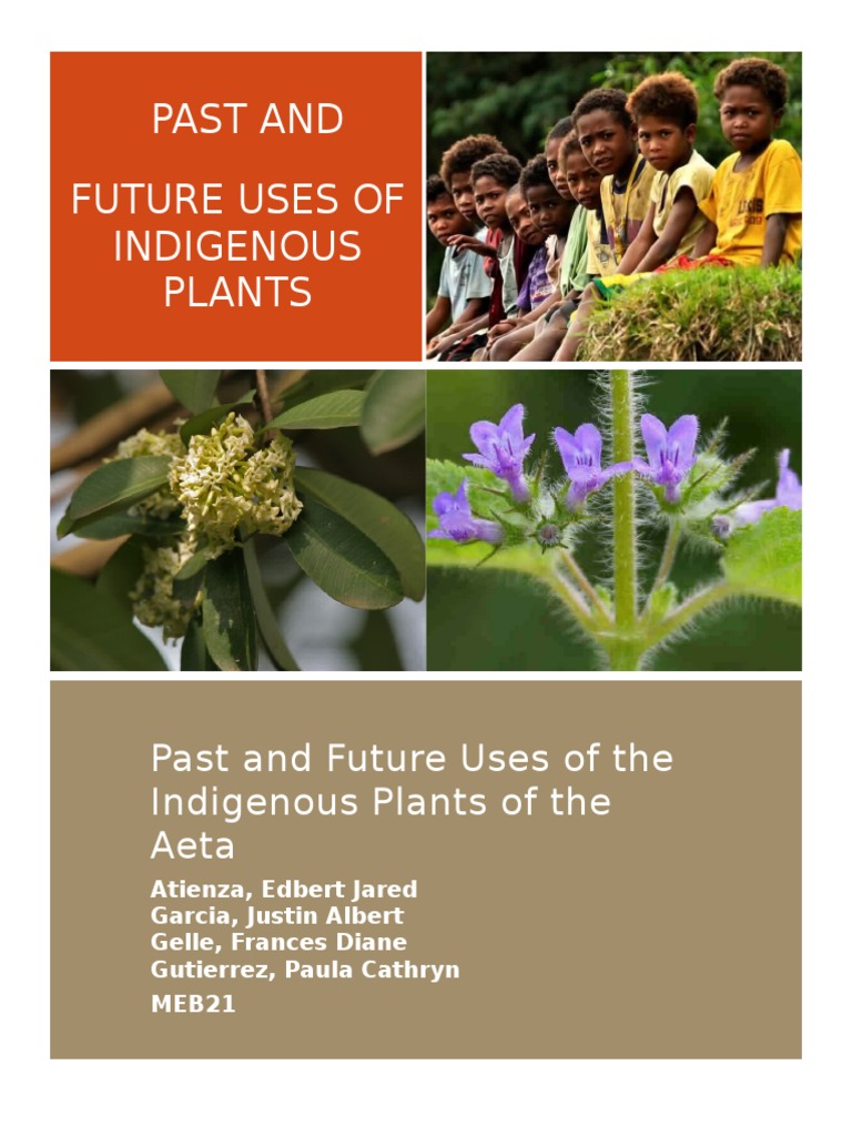 Past and Future Uses of Indigenous Plants of Aeta Community Plants