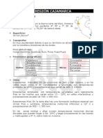 CAJAMARCA.pdf