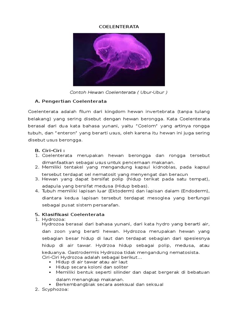 78+ Gambar Coelenterata (Hewan Berongga) Terbaik