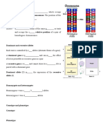 Genes and Alleles.doc