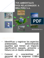 Aspectos Ambientales Significativos Relacionados A Cobra Peru