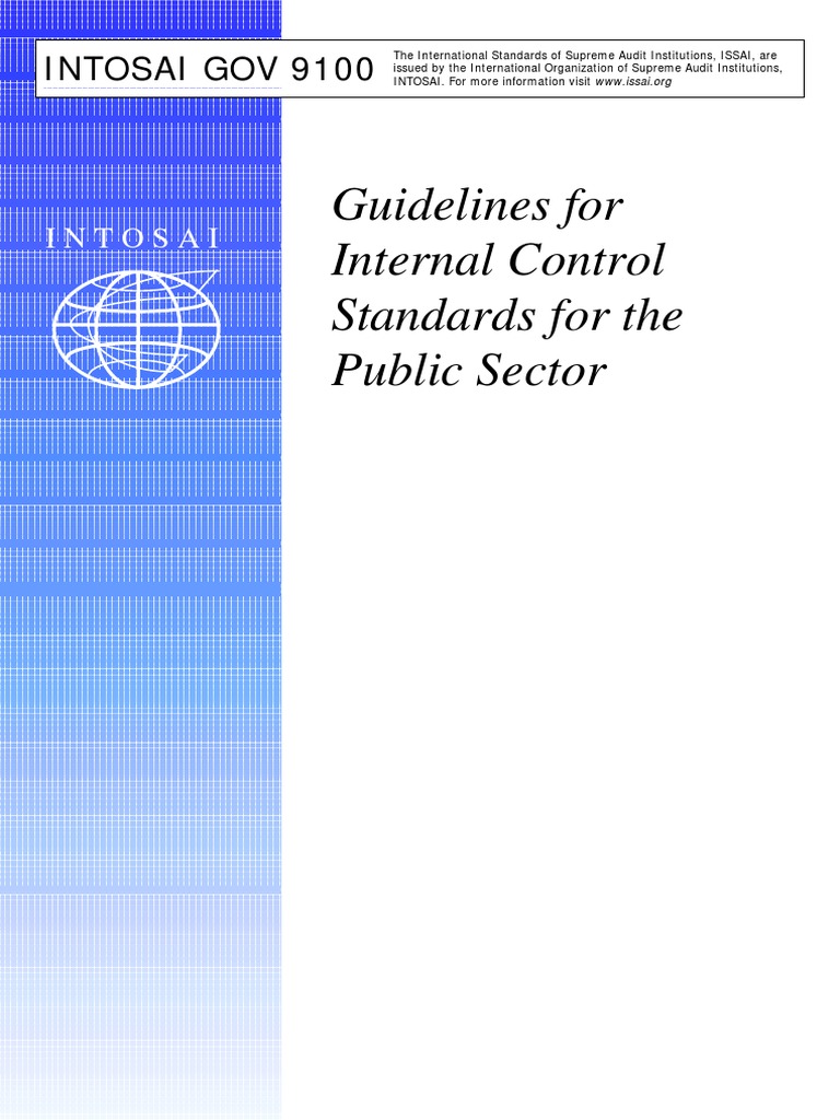 INTOSAI GOV 9100 Guidelines Overview | PDF | Risk | Competence (Human ...