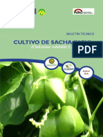 Boletin tecnico (Cultivo de Sacha Inchi).pdf