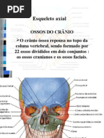 Download esqueleto  axial ossos do crnio e coluna by MsLahzinha SN32177537 doc pdf