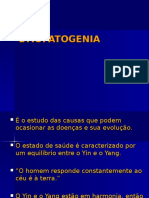 Aula4 -Etiopatogenia - Prof Cida - T126