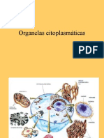 Organelas Citoplasmáticas