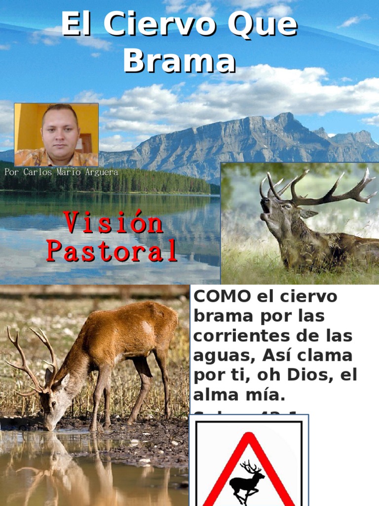 El Ciervo Que Brama Diablo Pecado