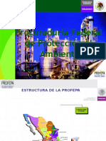 Profepa Auditoria Ambiental