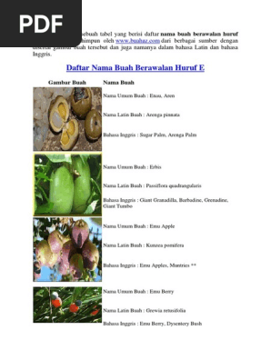 Daftar Nama Buah Berawalan Huruf E Pdf