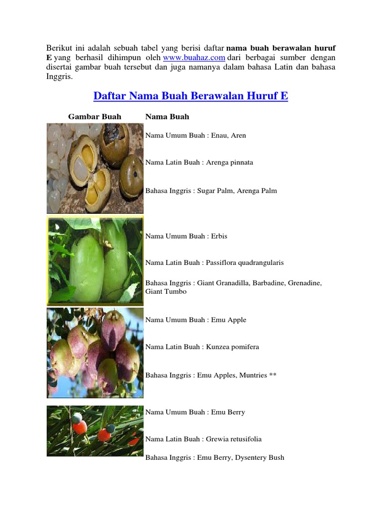 Daftar Nama Buah Berawalan Huruf E