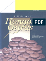 hongos ostra