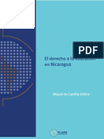 12nicaragua_derecho.pdf