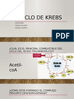 Ciclo de Krebs