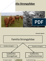 Familia Strongylidae