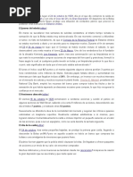 EL CRACK DEL 29.docx