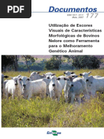 Genética Veterinária - Bovinos