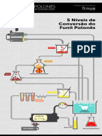 funil-polones-engenharia-de-conversao-online.pdf