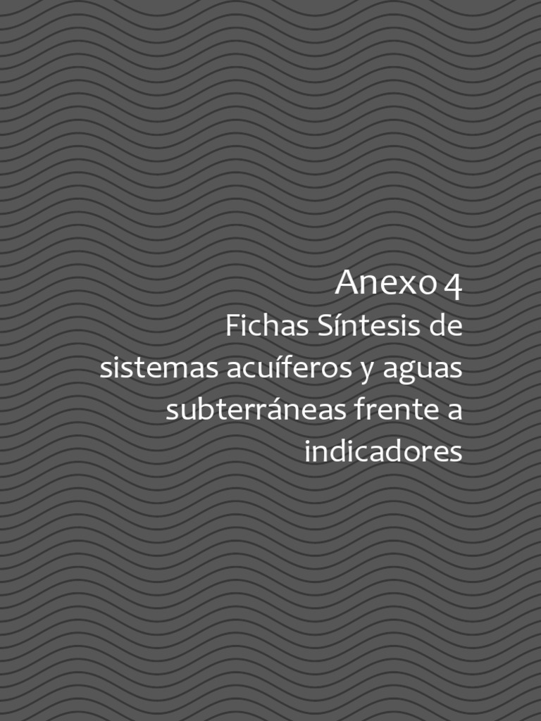 Anexo 4 PDF | PDF