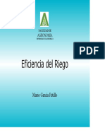 EFICIENCIA.pdf